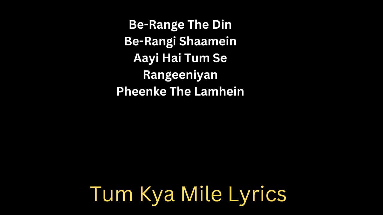 Tum Kya Mile Lyrics