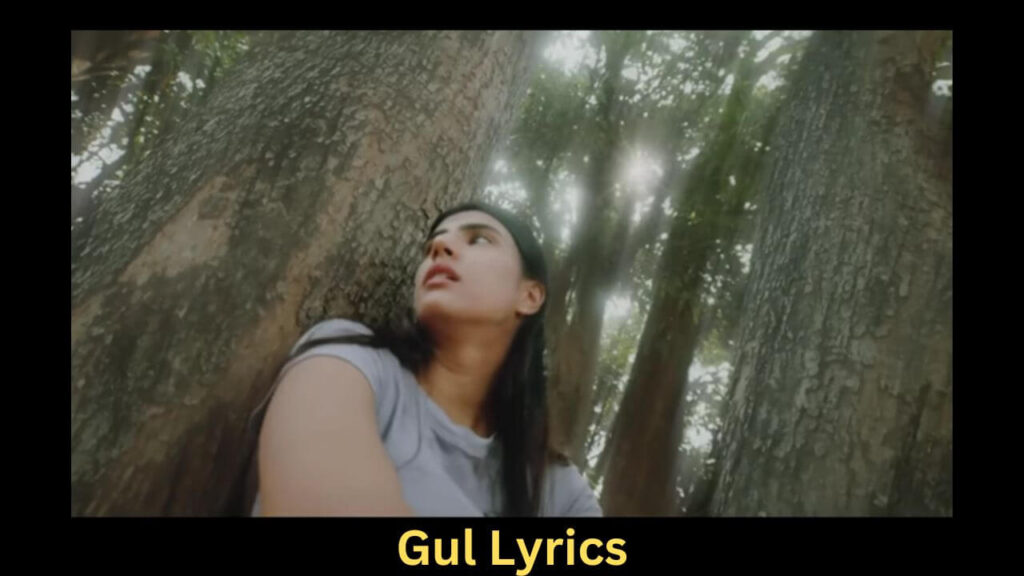 Gul Lyrics - By Anuv Jain