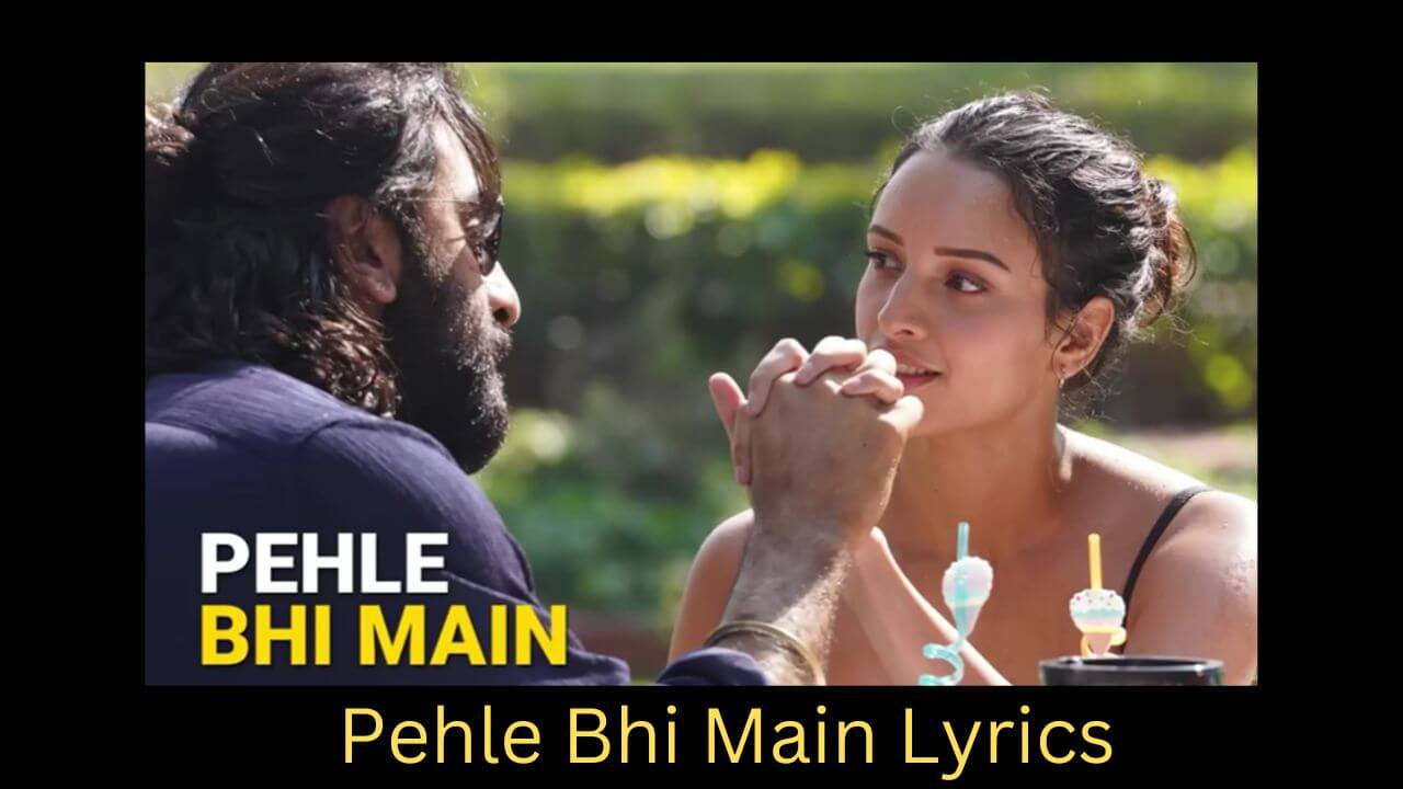 PEHLE BHI MAIN Lyrics | Ranbir Kapoor, Tripti Dimri Animal Amazing Song