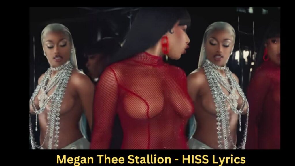 Megan Thee Stallion - HISS Lyrics