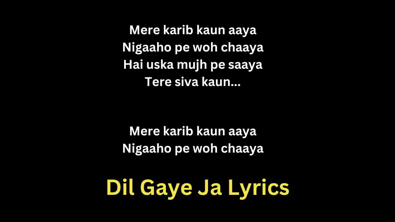 Dil Gaye Ja Lyrics - Lucky Ali