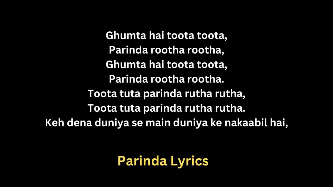 Parinda Lyrics - Panther