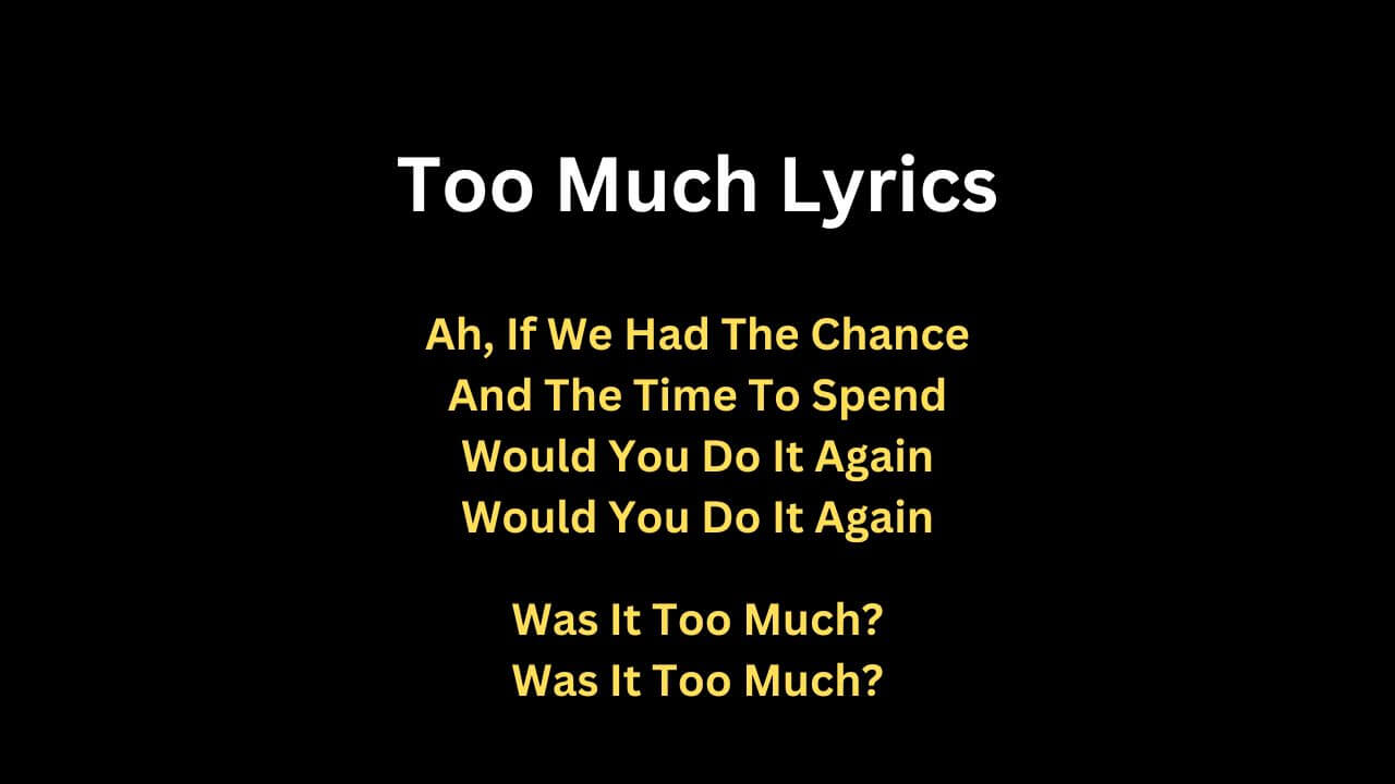 Too Much Lyrics