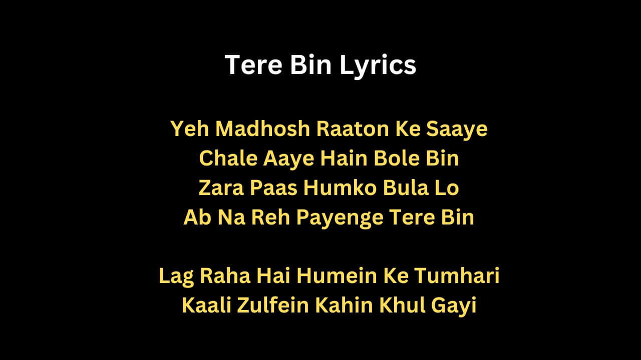 Tere Bin Lyrics